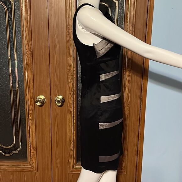 Cache’ Dress  - Picture 2 of 5